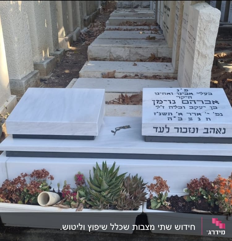 מצבות עם כיתוב בעברית וצמחים מסביב